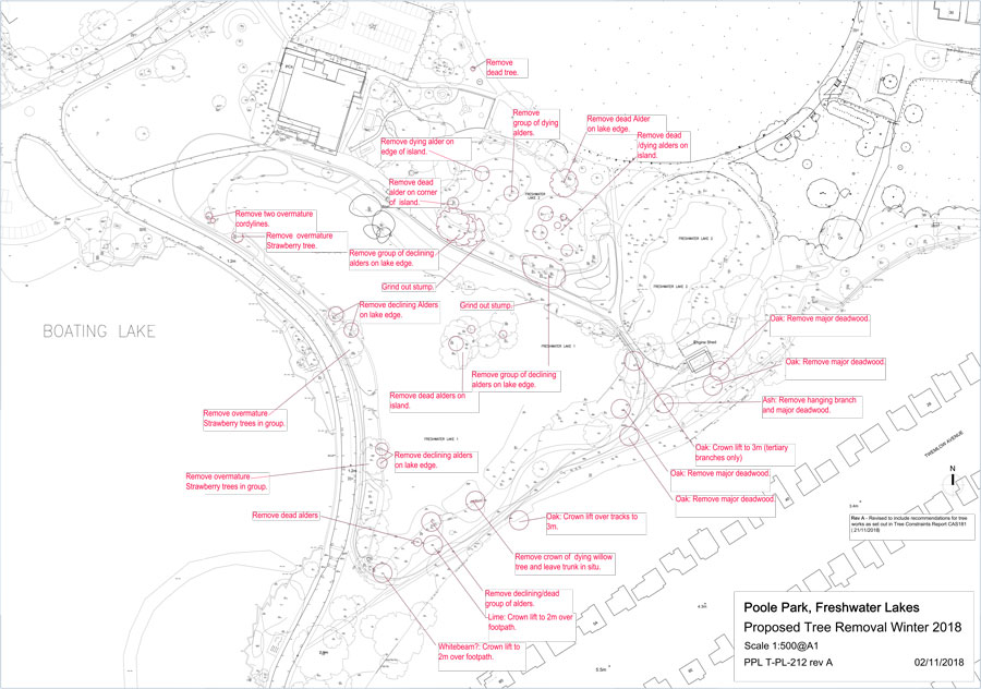 Download a plan of the winter tree works