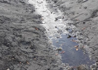 The newly dug swale, the exposed mud will be sown with wildflower seed